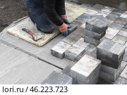 Worker Paving Outdoor Ground with Concrete Bricks and Tools in Action. Стоковое фото, фотограф EugeneSergeev / Фотобанк Лори