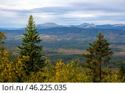 the endless Ural Taiga among the mountains and ridges on a summer day. Стоковое фото, фотограф Акиньшин Владимир / Фотобанк Лори