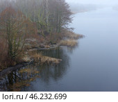 Берег реки Мухавец в тумане, Белоруссия (2020 год). Стоковое фото, фотограф Алексей Иванов / Фотобанк Лори