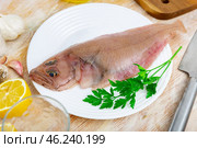 Raw four-spot megrim with condiments prepared for cooking. Стоковое фото, фотограф Яков Филимонов / Фотобанк Лори