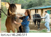 Female worker in plaid shirt combs tethered horse in stable. Стоковое фото, фотограф Яков Филимонов / Фотобанк Лори