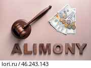 Word ALIMONY with judge gavel and money on color background. Стоковое фото, фотограф Pixel_shot / Фотобанк Лори