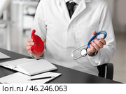 Gastroenterologist with model of stomach and stethoscope in clinic. Стоковое фото, фотограф Pixel_shot / Фотобанк Лори