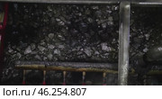 Coal Preparation Plant Screening. Coal Washing Equipment, Mineral Processing, Coal Enrichment Technology Industrial Mining Machinery, Raw Ore Separation Heavy Industry Production. On Belt conveyor. Стоковое видео, видеограф Сергей Тимофеев / Фотобанк Лори