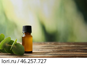 Bottle of eucalyptus essential oil on wooden table. Стоковое фото, фотограф Pixel_shot / Фотобанк Лори