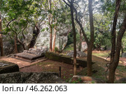 Водный сад ( water garden ) у подножия Львиной скалы. Руины крепости Сигирия (Sigiriya), Шри-Ланка. Стоковое фото, фотограф Дымов Игорь / Фотобанк Лори