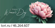 Happy Women's Day. Peony on green. Стоковое фото, фотограф Татьяна Гавриш / Фотобанк Лори