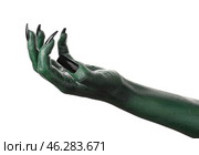 Halloween green witch's or zombie's hand isolated on white. Стоковое фото, фотограф Pixel_shot / Фотобанк Лори