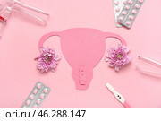 Paper uterus with gynecological speculums, pills, pregnancy test and chrysanthemum flowers on pink background. Стоковое фото, фотограф Pixel_shot / Фотобанк Лори