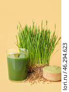 Glass with fresh wheatgrass juice and powder on color background. Стоковое фото, фотограф Pixel_shot / Фотобанк Лори