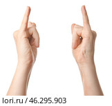 Hands of woman on white background. Стоковое фото, фотограф Pixel_shot / Фотобанк Лори