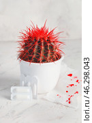 Cactus, toilet paper with blood spots and hemorrhoidal suppositories on light background. Стоковое фото, фотограф Pixel_shot / Фотобанк Лори
