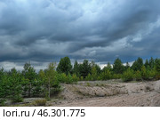 Natural landscape with a sandy area in the foreground and a dense forest of young coniferous trees in the background. Heavy thunderclouds hang over the horizon, creating an atmosphere of an approaching storm. The sky is dark, rich gray, and the trees stand out with bright green, contrasting with the gloomy atmosphere. The landscape looks wild and untouched, emphasizing the natural harmony and power of nature. Стоковое фото, фотограф Анна Кривицкая / Фотобанк Лори