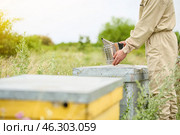 Beekeeper working at his apiary. Стоковое фото, фотограф Pixel_shot / Фотобанк Лори