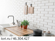 Kitchen counters with sink, houseplants and utensils near white brick wall. Стоковое фото, фотограф Pixel_shot / Фотобанк Лори