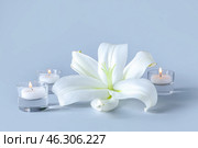 Beautiful lily flower with burning candles on grey background. Стоковое фото, фотограф Pixel_shot / Фотобанк Лори