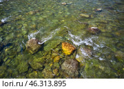 Water and stones of Altai river Bashkaus. Camera looks down. Стоковое фото, фотограф Сергей Пристяжнюк (Serg Zastavkin) / Фотобанк Лори