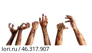 Hands of zombies on white background. Стоковое фото, фотограф Pixel_shot / Фотобанк Лори