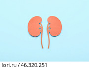 Paper kidneys with pills on blue background. Стоковое фото, фотограф Pixel_shot / Фотобанк Лори