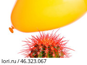 Cactus and air balloon on white background. Стоковое фото, фотограф Pixel_shot / Фотобанк Лори