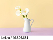 Vase with beautiful calla lilies on color background. Стоковое фото, фотограф Pixel_shot / Фотобанк Лори