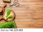 Fresh wheatgrass and seeds in bowl on wooden background. Стоковое фото, фотограф Pixel_shot / Фотобанк Лори