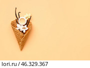 Natural lip balm with vanilla and wafer cone on color background. Стоковое фото, фотограф Pixel_shot / Фотобанк Лори