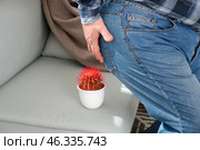 Elderly man near sofa with cactus at home. Hemorrhoids concept. Стоковое фото, фотограф Pixel_shot / Фотобанк Лори