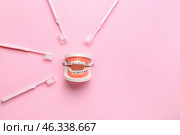 Model of jaw with dental braces and toothbrushes on pink background. Стоковое фото, фотограф Pixel_shot / Фотобанк Лори