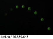 Stroboscopic photo of moving green ball on dark background. Стоковое фото, фотограф Pixel_shot / Фотобанк Лори