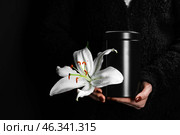Woman holding mortuary urn with lily flower, closeup. Стоковое фото, фотограф Pixel_shot / Фотобанк Лори