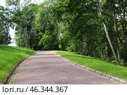 Пешеходная дорожка в городском парке предназначена для прогулок и отдыха. летний парк. Стоковое фото, фотограф Наталья Сухорукова / Фотобанк Лори
