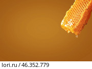 Honeycomb on color background. Стоковое фото, фотограф Pixel_shot / Фотобанк Лори