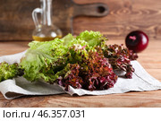 Fresh Lollo Rosso lettuce on wooden background. Стоковое фото, фотограф Pixel_shot / Фотобанк Лори