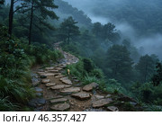 A stone path winding through a dense foggy forest. A path of uneven flat stones leads into the distance, disappearing into the greenery. Tall pine trees rise above the path, and their dark silhouettes slightly dissolve in the dense fog, creating an atmosphere of mystery and tranquility. The humid air makes the greenery especially rich, and drops of water on the plants give the scene a sense of freshness. Стоковое AI-изображение, AI-художник Анна Кривицкая / Фотобанк Лори