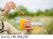 Beekeeper with honey in jar at apiary. Стоковое фото, фотограф Pixel_shot / Фотобанк Лори