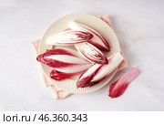 Plate with fresh red endive on light background. Стоковое фото, фотограф Pixel_shot / Фотобанк Лори