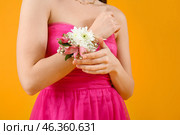 Young girl in prom dress and with corsage on yellow background. Стоковое фото, фотограф Pixel_shot / Фотобанк Лори