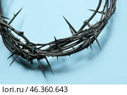 Crown of thorns on blue background, closeup. Стоковое фото, фотограф Pixel_shot / Фотобанк Лори