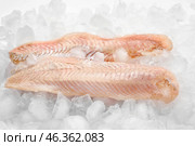 Raw codfish with ice cubes on white background. Стоковое фото, фотограф Pixel_shot / Фотобанк Лори