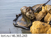 Загрязнение воды и берега мазутом. Редакционное фото, фотограф Алексей Шматков / Фотобанк Лори