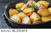 Potato. Roasted potatoes with rosemary and sea salt on dark gray concrete background. Golden oven baked baby potatoes with crispy seasoning in a modern ceramic bowl. Close up. Christmas dinner. Стоковое AI-видео, аниматор Марина Демидюк / Фотобанк Лори