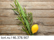 Sukkot festival symbols on wooden background. Стоковое фото, фотограф Pixel_shot / Фотобанк Лори