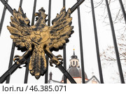 Ornate golden eagle emblem with Radziwill family coat of arms (2024 год). Стоковое фото, фотограф EugeneSergeev / Фотобанк Лори