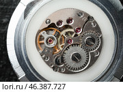 Inside view of watch mechanism, closeup. Стоковое фото, фотограф Pixel_shot / Фотобанк Лори