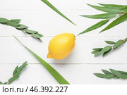 Four species (lulav, hadas, arava, etrog) as Sukkot festival symbols on white wooden background. Стоковое фото, фотограф Pixel_shot / Фотобанк Лори