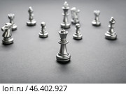 Silver queen on grey background. Стоковое фото, фотограф Pixel_shot / Фотобанк Лори