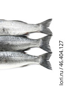 Tasty fresh seabass fish on white background. Стоковое фото, фотограф Pixel_shot / Фотобанк Лори