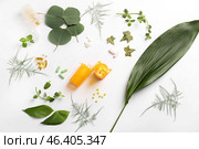 Jars with pills and herbs on white background. Стоковое фото, фотограф Pixel_shot / Фотобанк Лори