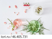Glassware with ingredients for making plant based pills on white table. Стоковое фото, фотограф Pixel_shot / Фотобанк Лори